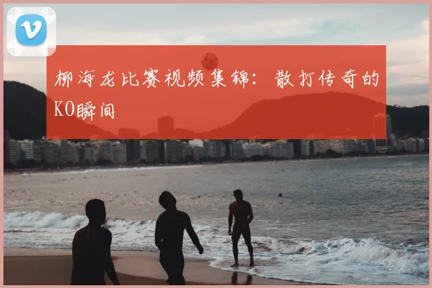 柳海龙比赛视频集锦：散打传奇的KO瞬间
