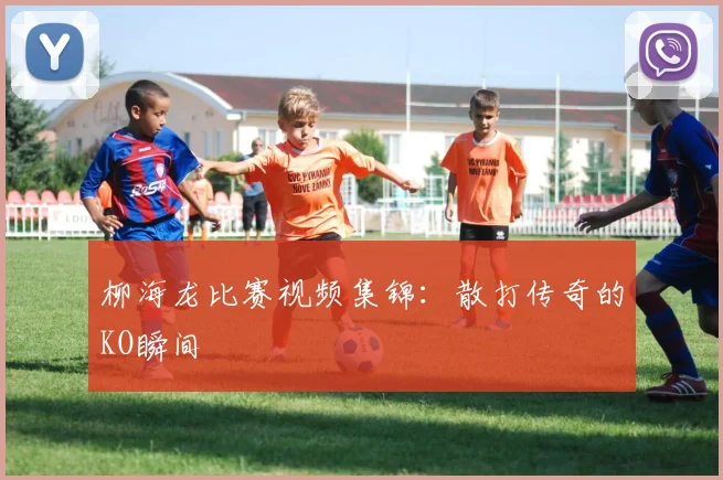 柳海龙比赛视频集锦:散打传奇的KO瞬间