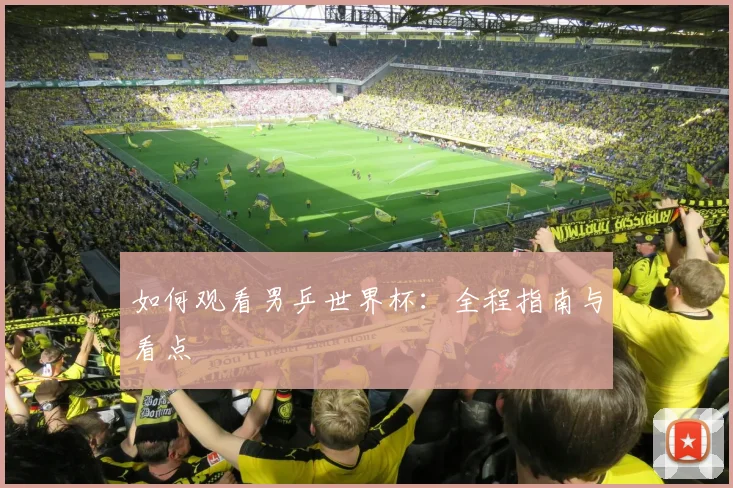 如何观看男乒世界杯：全程指南与看点